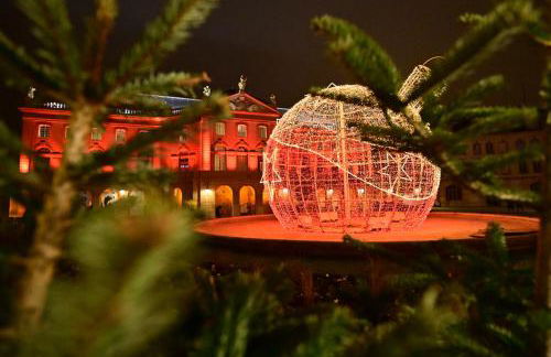 Charmant Petit Studio en rez-de-chaussée, magnifique quartier historique de Metz - Foto 13