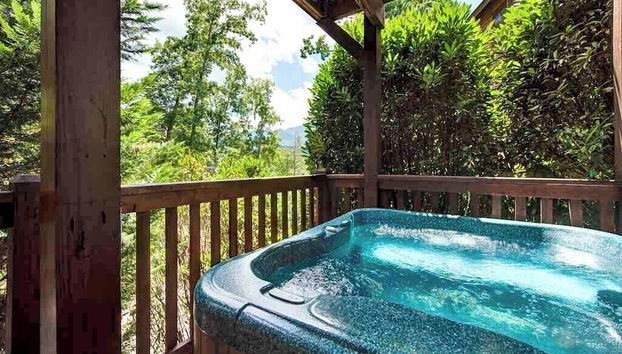 Artistic Mountain by Jackson Mountain Rentals - Foto 4, Servicios del alojamiento