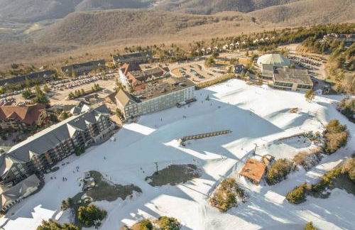 Cozy Condo at Summit - Foto 50