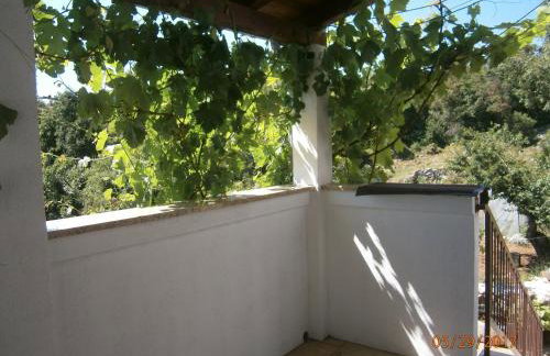 Holiday Home Loznati - Foto 11