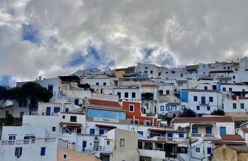 Lion House II - Photo 28