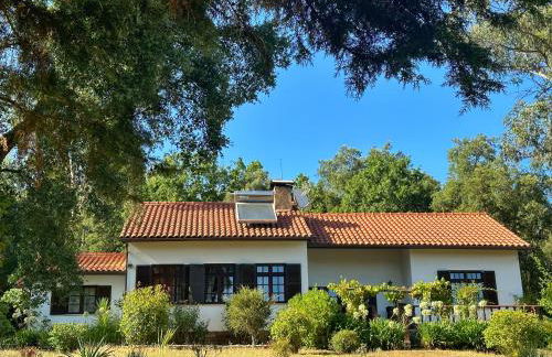 Quinta Do Pereiro - Foto 1