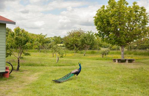 Orchard View Shepherds Hut - Foto 35