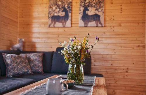 Domki całoroczne DŁUGOSZÓWKA pod Rzeszowem, Jacuzzi-Sauna-Basen-Alpaki - Foto 57