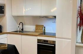 Nice and cosy flat near Geneva or Annecy - Foto 7