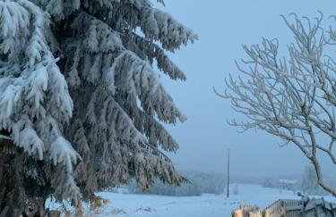 Siedlisko Wiłkupie, Dom na wzgórzu - Foto 28
