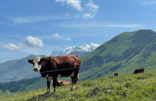 Charming Bright Spacious Village Walk to lift Hike - Foto 48