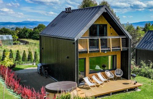 Domki Salamandra Lipowa - Foto 1