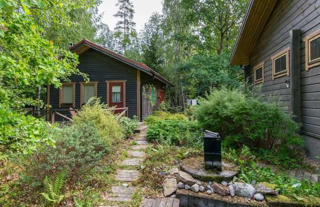 Metsä-iivari - Foto 6