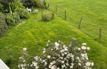 Fewo Landliebe - Foto 48