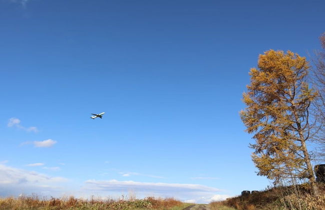 MAPLE FARM - Foto 30