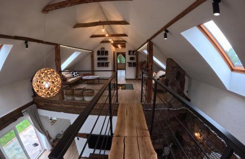 Miejski Las 8 - Foto 2