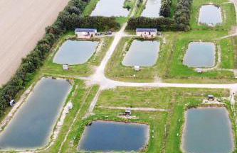 Schwalbennest - Foto 1