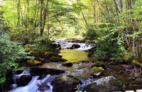 The Junction - Foto 31