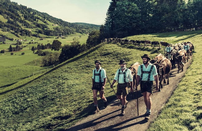 Fewo "via Decia", Oberstaufen - Photo 7