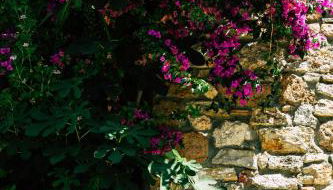 La Magentina - Foto 3