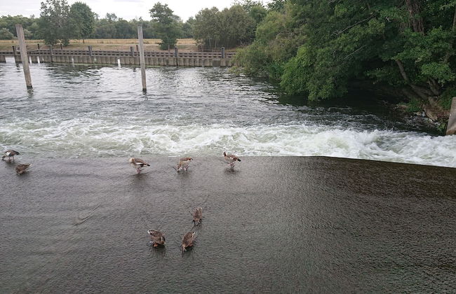 Charming 17th Century 2-bed Cottage in Medmenham - Foto 11