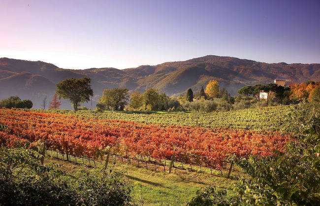 Agriturismo Colognole - Foto 33