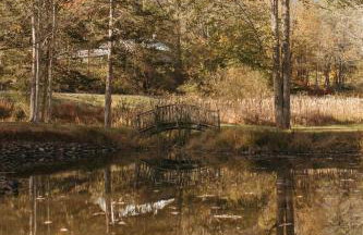 Charming Country Home with Hot Tub, Pond & Creek - Foto 14