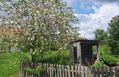 Ferienwohnung Zimmerei Schwarzwald mit toller Aussicht - Foto 22