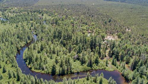 Hazel's Goose Creek Lodge - Private Riverfront! - Foto 5