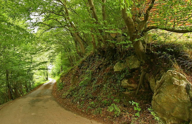 Cottage With a Terrace and a View of the Valley - Foto 28
