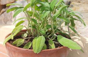 Il Nido Del Viaggiatore - Foto 22