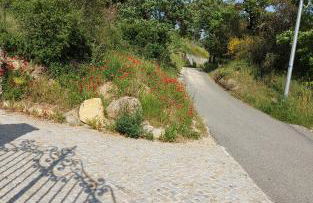 Superbe maison entière villa les pinsons - Foto 4