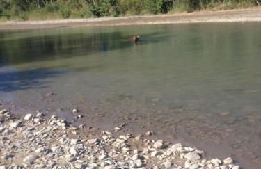 Appartement cocooning à la ferme - Foto 11