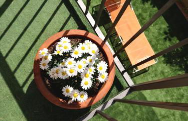 l'Aurora appartamento mansarda nel cuore del Pollino - Foto 18