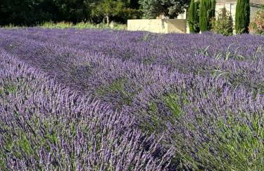 Appartement neuf et au calme proche Avignon - Foto 32