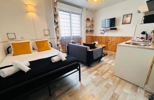 ORLEANS CENTRE PROCHE GARE - Appartement fonctionnel Résidence calme Parking privé gratuit - LE CENTRAL ELEGANCE - Foto 8