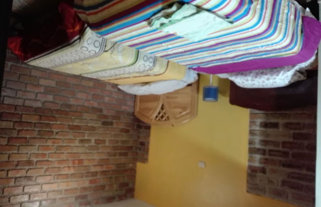 Leo's Tinal - Foto 7