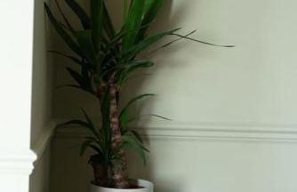 Stylish Winter Escape - Cosy Coastal Luxury with Panoramic Ocean Views - Foto 95