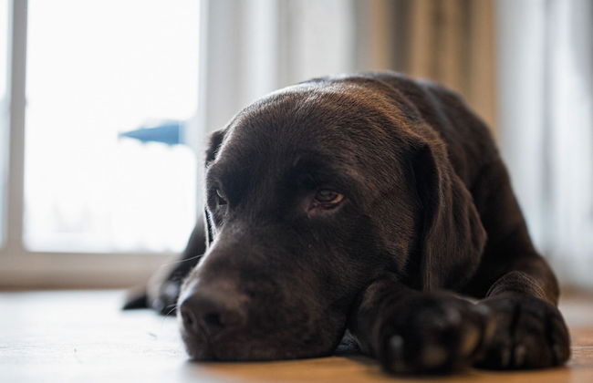 Haus Strandeck - Foto 19