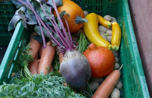 Natur-Aktiv-Hof Thiem - Foto 58