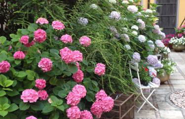 Albergo Residence Perosi - Foto 79