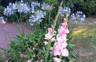 Gîte 2 personnes, proche mer - Foto 18