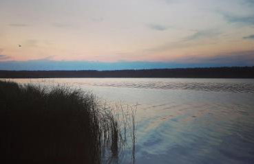 Prywatny domek Janusz - Foto 17