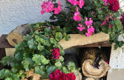 Haus Huber - Foto 33