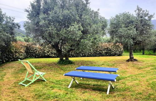 Versillia Olive Residence - Foto 29