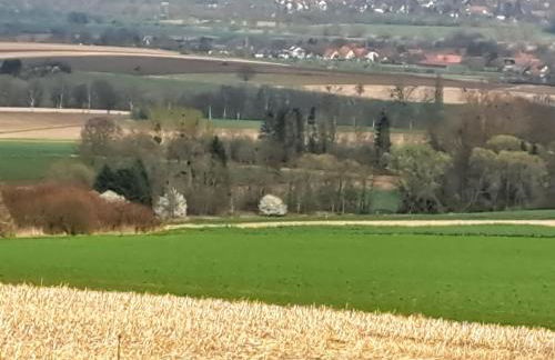 Zur schönen Aussicht - Foto 8