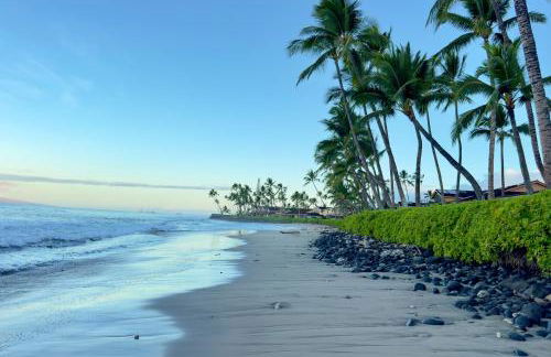 Puamana 30-2 - Foto 47