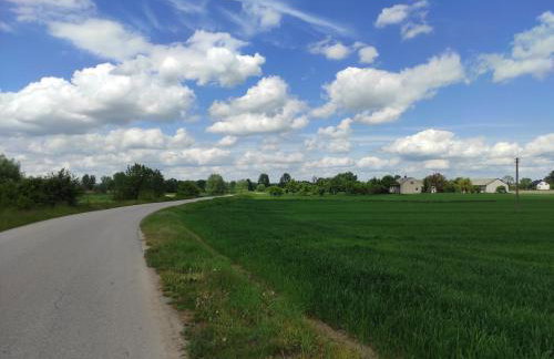 Agroturystyka Kobylnica nad Wisłą - Foto 63
