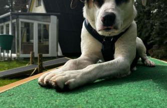 Holiday Home Finnhaus by Interhome - Foto 37