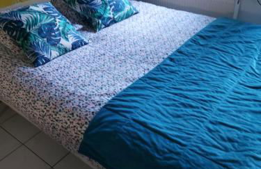 Les Seringats - Foto 10