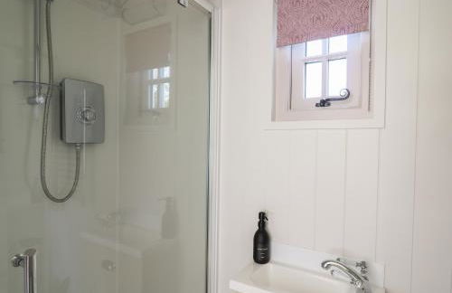 Dragonfly Shepherd's Hut - Photo 14