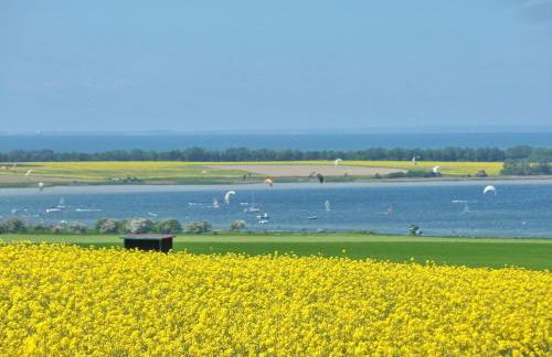 Ferienhaus mit Sauna in Boiensdorf am Salzhaff - Foto 52