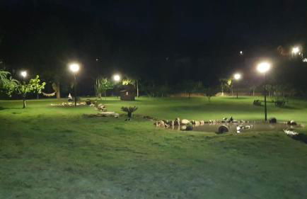 Quinta da Vinha do Souto - Foto 28