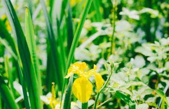 Cosy Mirrored House next to a Magical Swimming Lake - Foto 33